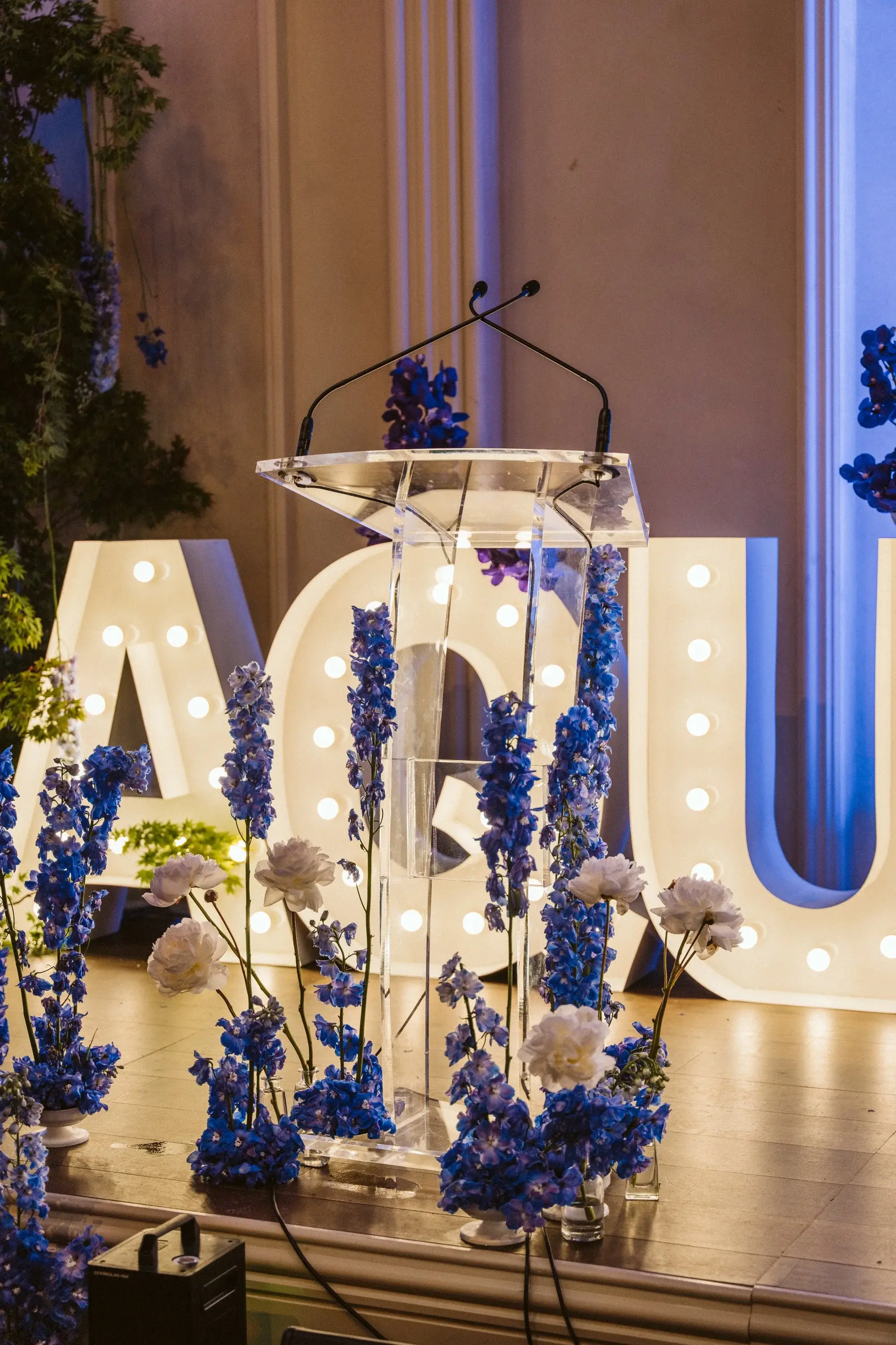 Medium Scale Projects